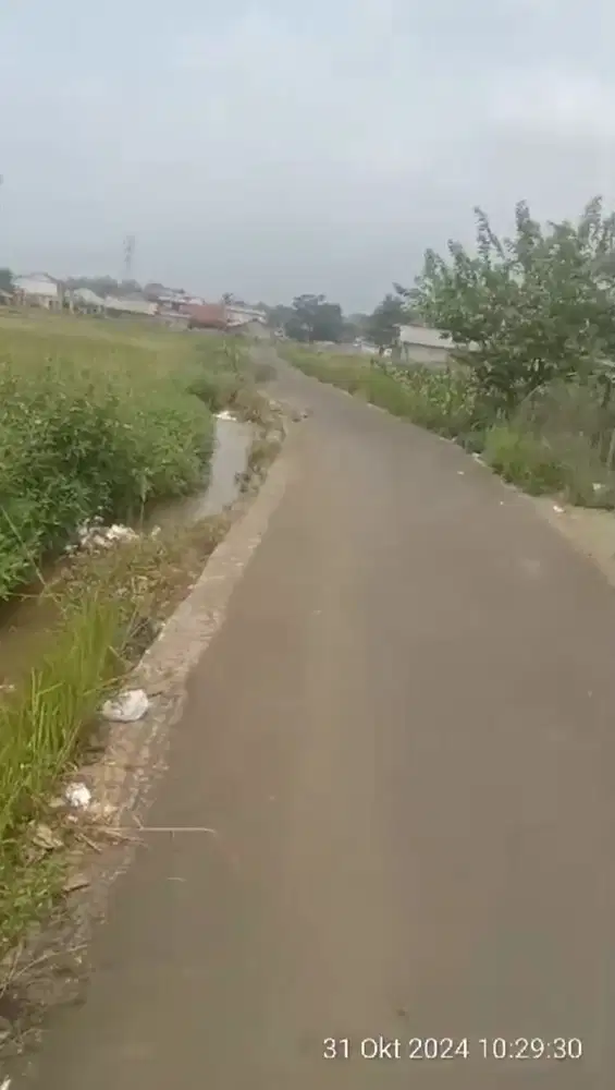 JUAL BUTUH Tanah Kebun 1537 M2 di Teluk Pinang Ciawi Cikretek Bogor Sukabumi