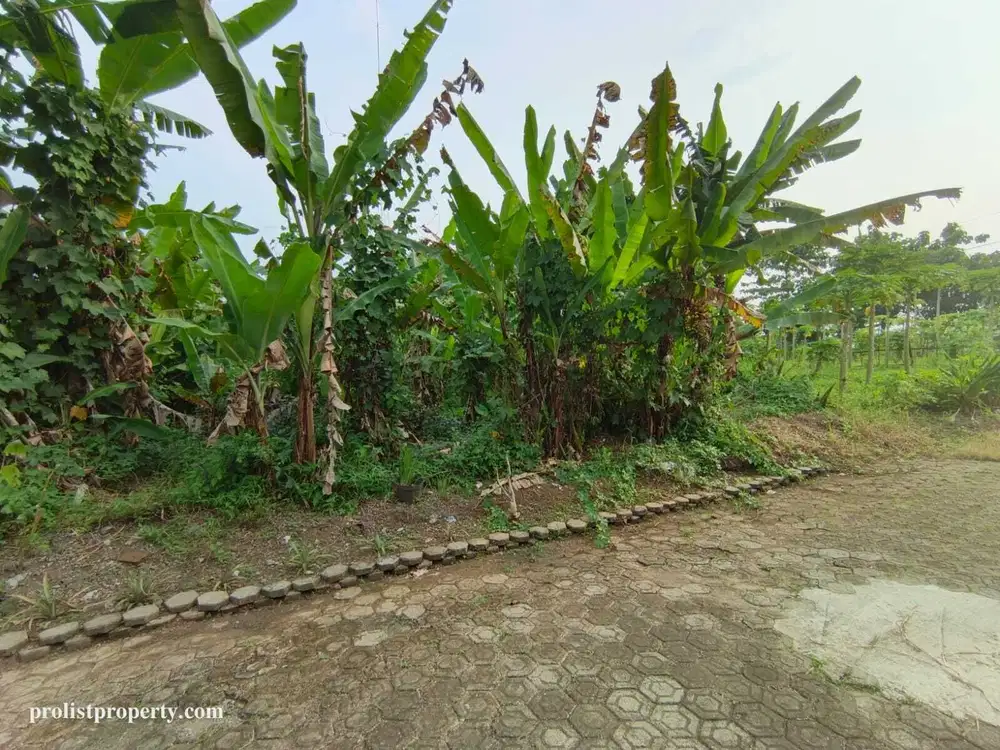 Dijual Tanah Kapling Strategis -1 Menit Jalan Kaki Java Heritage Hotel