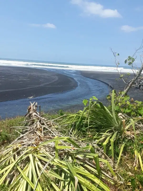DIJUAL TANAH DI PANTAI PASUT KERAMBITAN TABANAN BALI