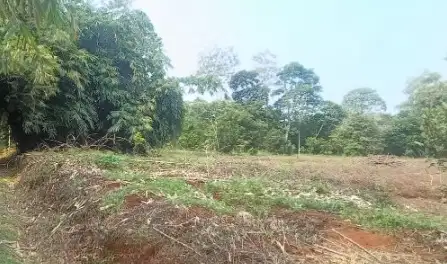 Tanah Perkebunan Argobisnis Peternakan Desa Pagon Purwadadi Subang