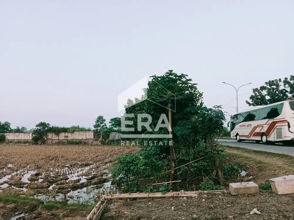 Dijual Tanah Sawah di Pinggir Jalan Raya Jl. Baru/Lingkar Luar Tanjung