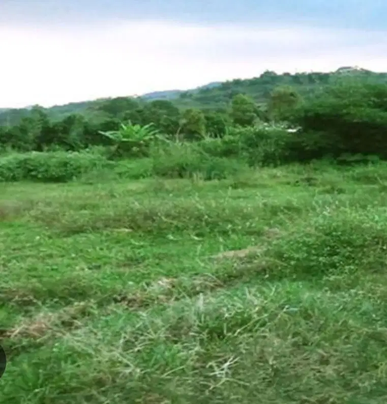 Jual Tanah pinggir jalan raya Caringin Bogor