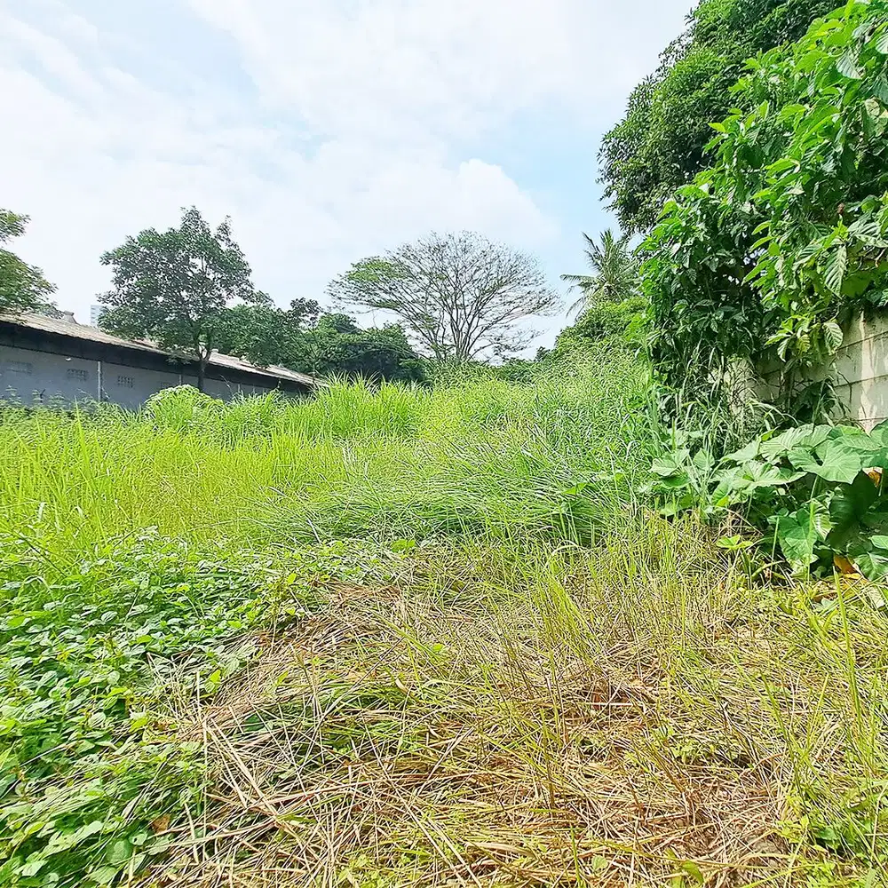 Tanah Zona Kuning Pinggir Jalan Raya Dekat Intermoda BSD