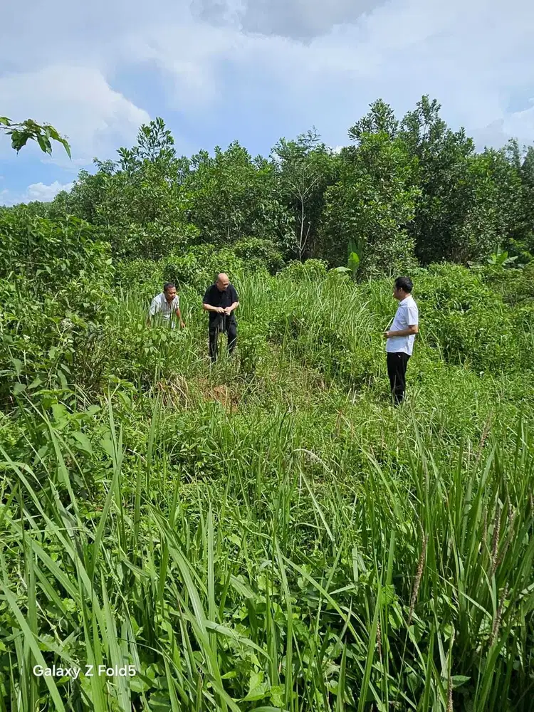 Di Jual Tanah Raya Rangkasbitung Cileles.