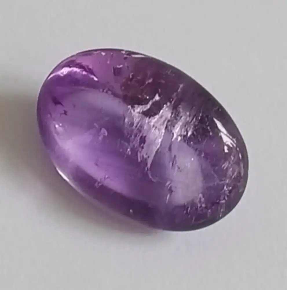 Kecubung Kalimantan / kecubung asihan