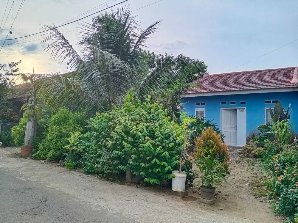 Rumah SHM 398m Gg Mangga Jl. Raya Semplak , Semplak Bogor Barat