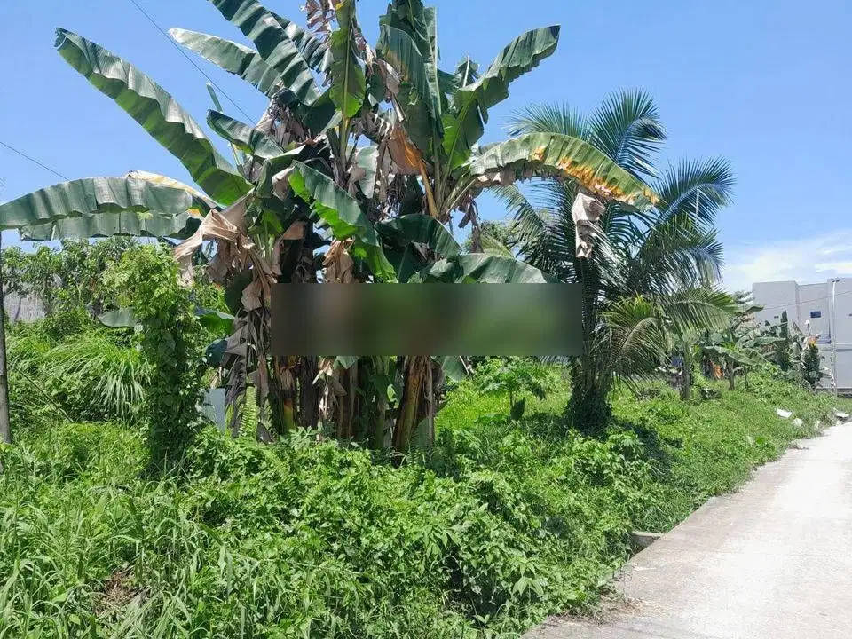 TANAH PINGGIR JALAN COR PERUMAHAN LOKASI BATU AMPAR PERUMAHAN SOSIAL