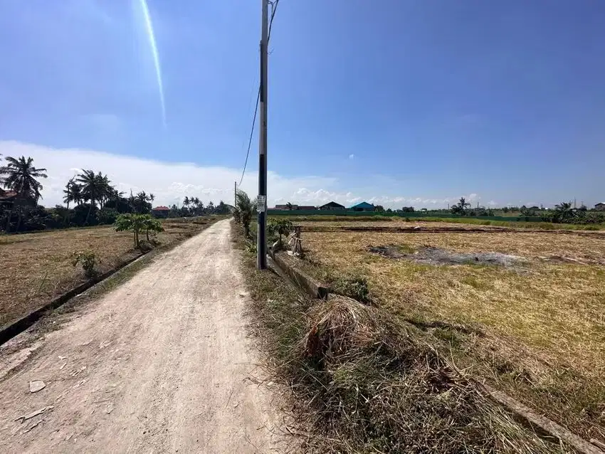 Kavling Seseh Bali luas 2750m2 hrg 18jt lease hold 25 thn