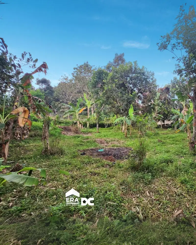 Tanah Ngantong Luas Dekat Taman Mijen di Amarta semarang