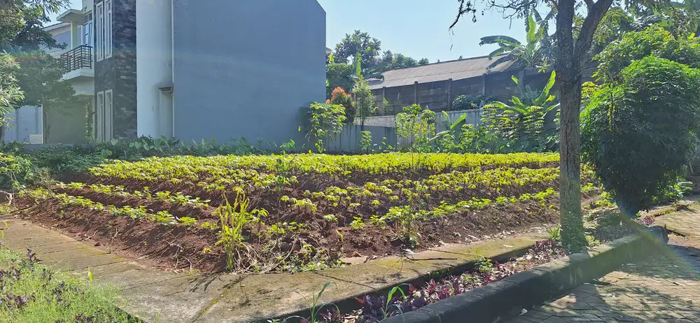 Jual Tanah di Cluster Bukit Cimanggu City Bogor