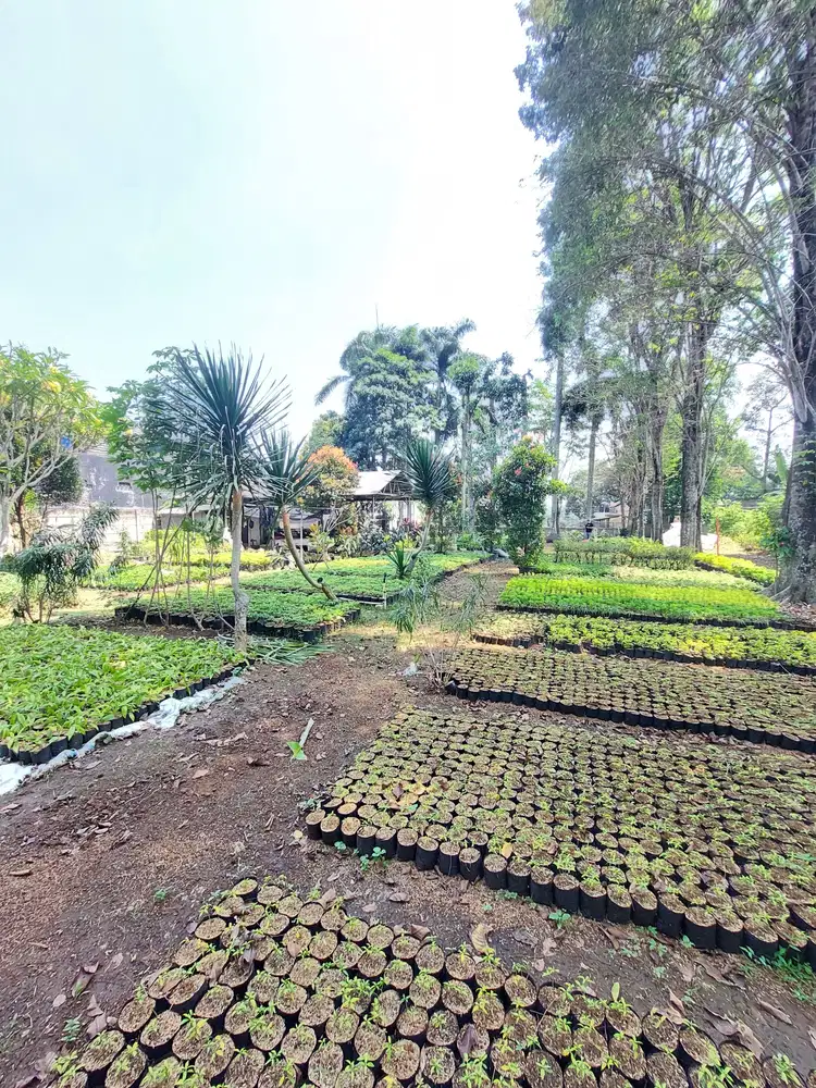 Lahan Di Depok Strategis Untuk Usaha Di Situ Sawangan Depok