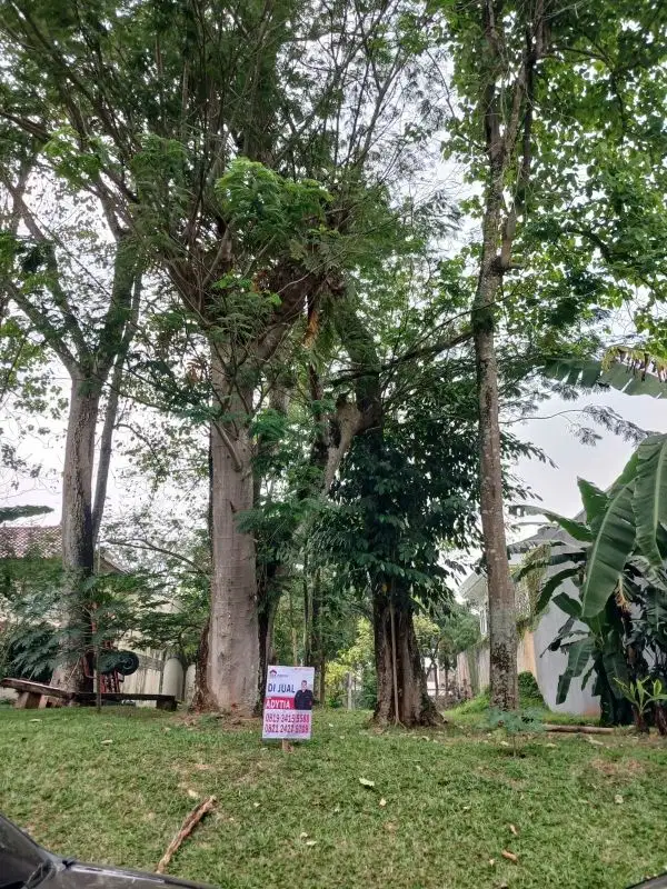 kavling siap bangun di bsd city harga termurah lokask asri dan hijau