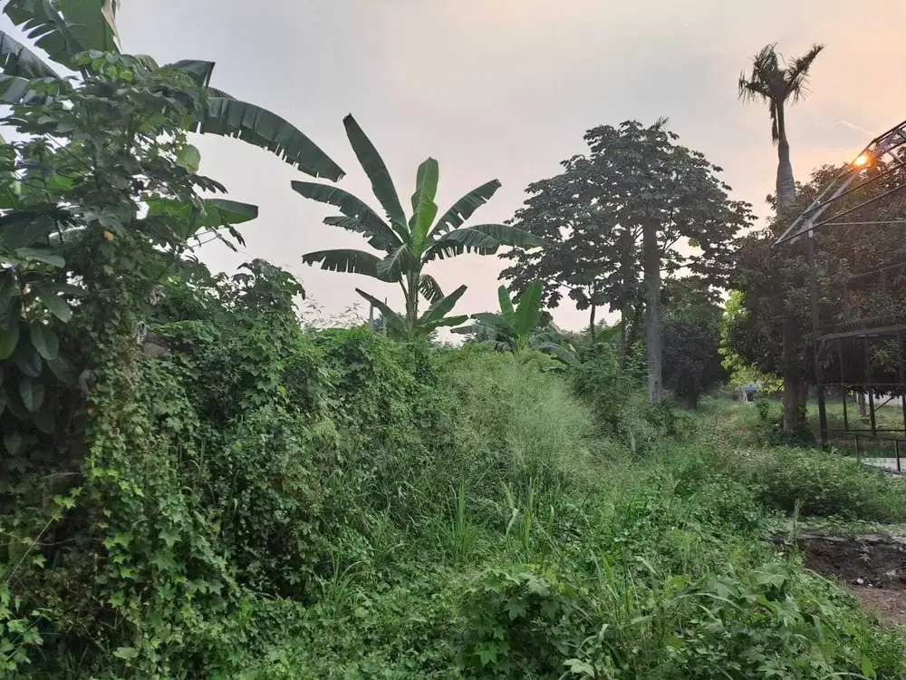 TANAH PINGGIR JALAN RAYA  UTAMA RAMAI & STRATEGIS PAMULANG