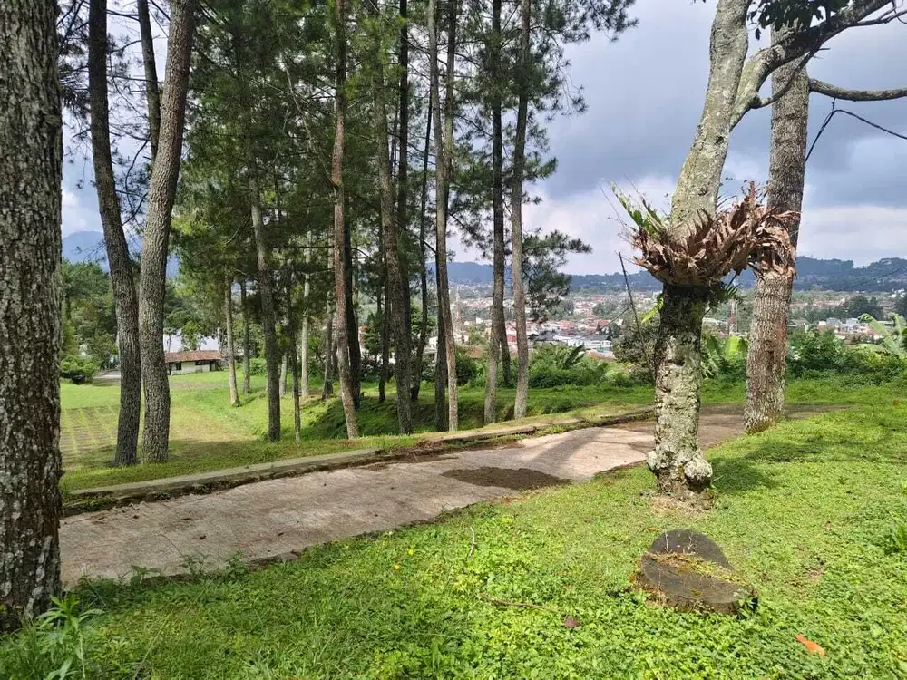 Tanah Luas Strategis Jalan Raya Lembang Bandung