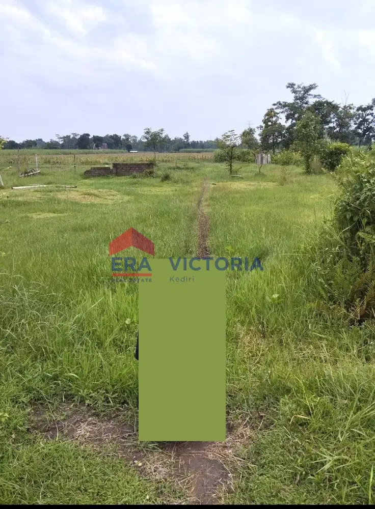 Tanah Jual 2645m2 di Gurah Kab Kediri 200 Meter Dari Jalan Provinsi