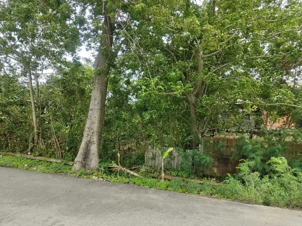 Dijual Tanah Luas Lokasi Strategis di Cabang Bungin, Cikarang Bekasi