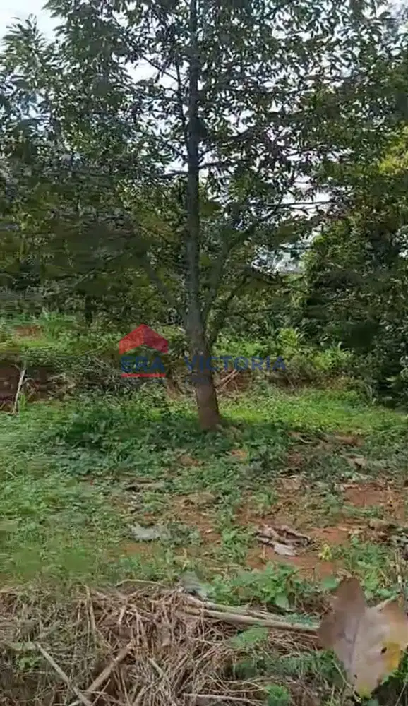 Tanah Jual di Semen Kab Kediri Cocok Untuk Kebun