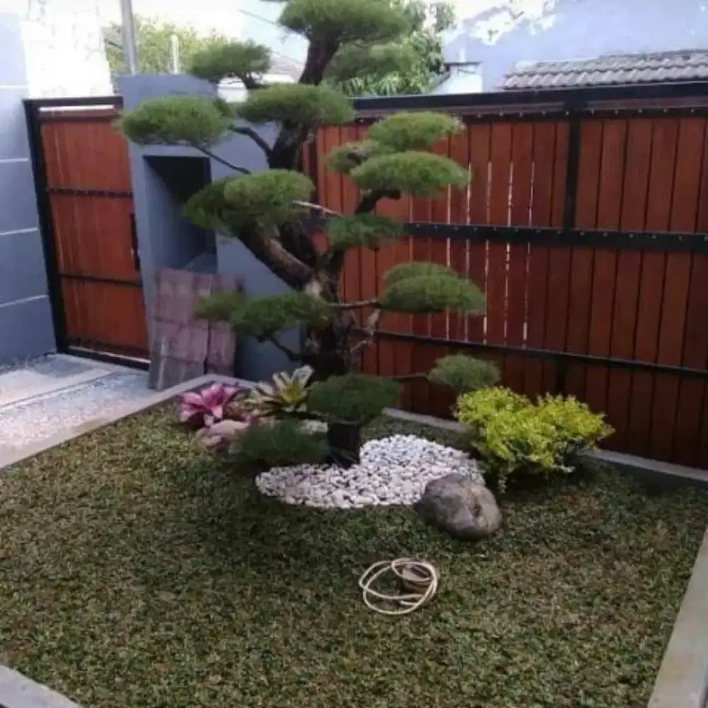Jasa pembuatan taman rumah minimalis sederhana