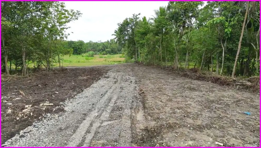 Sentolo, Tanah Jogja Dekat Pasar Nyonyol Untuk Investasi