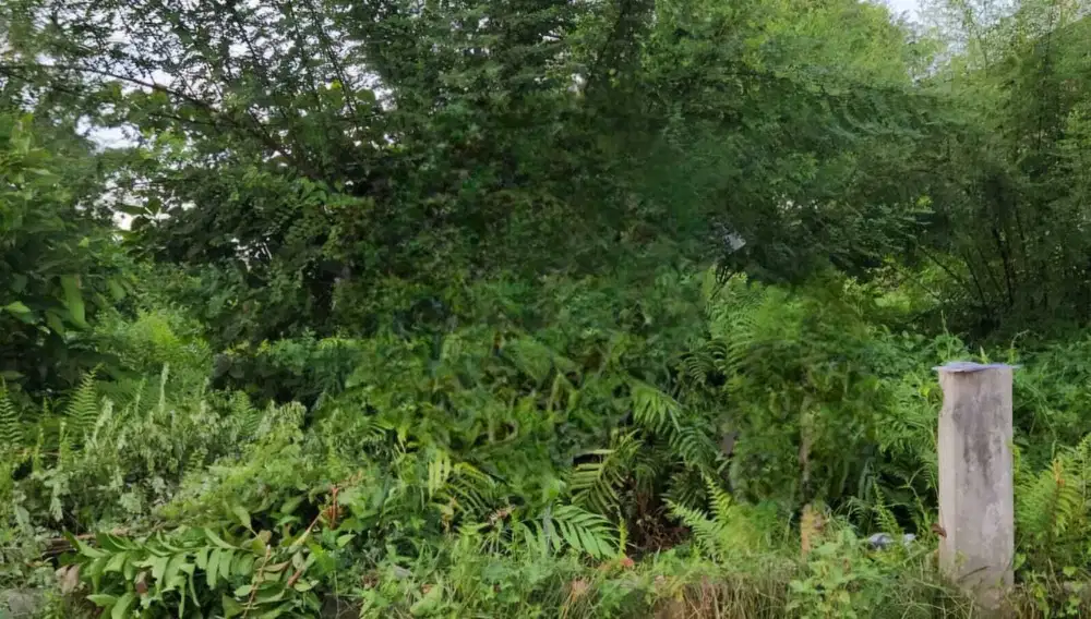 KAVLING HUK COCOK DIBANGUN  RUMAH DIPINGGIR JALAN BUNGA MAWAR MEDAN