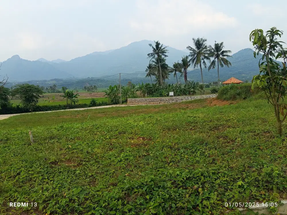 Tanah Dijual Murah Di Bogor Timur Nempel Jalan Provinsi Sawah & Gunung