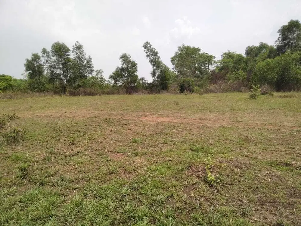 TANAH INI JUAL BU HARGA NEGO CILELES TIGARAKSA TANGERANG