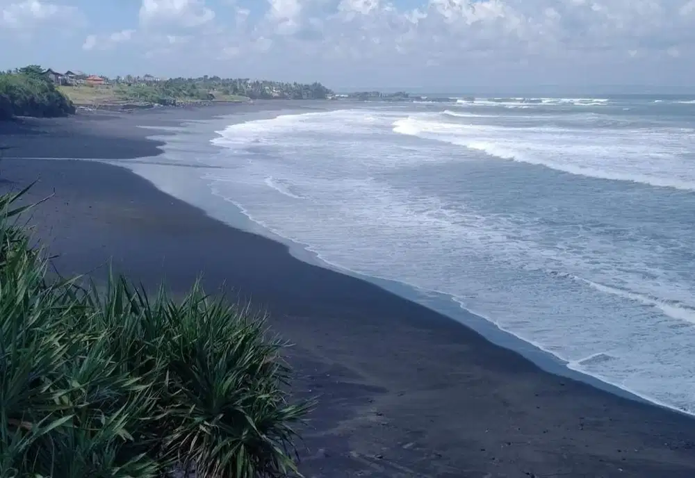 DIJUAL TANAH LUAS 31 ARE LOS PANTAI NYANYI