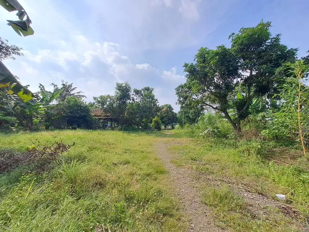 Tanah pinggir jalan Pamulang lokasi strategis