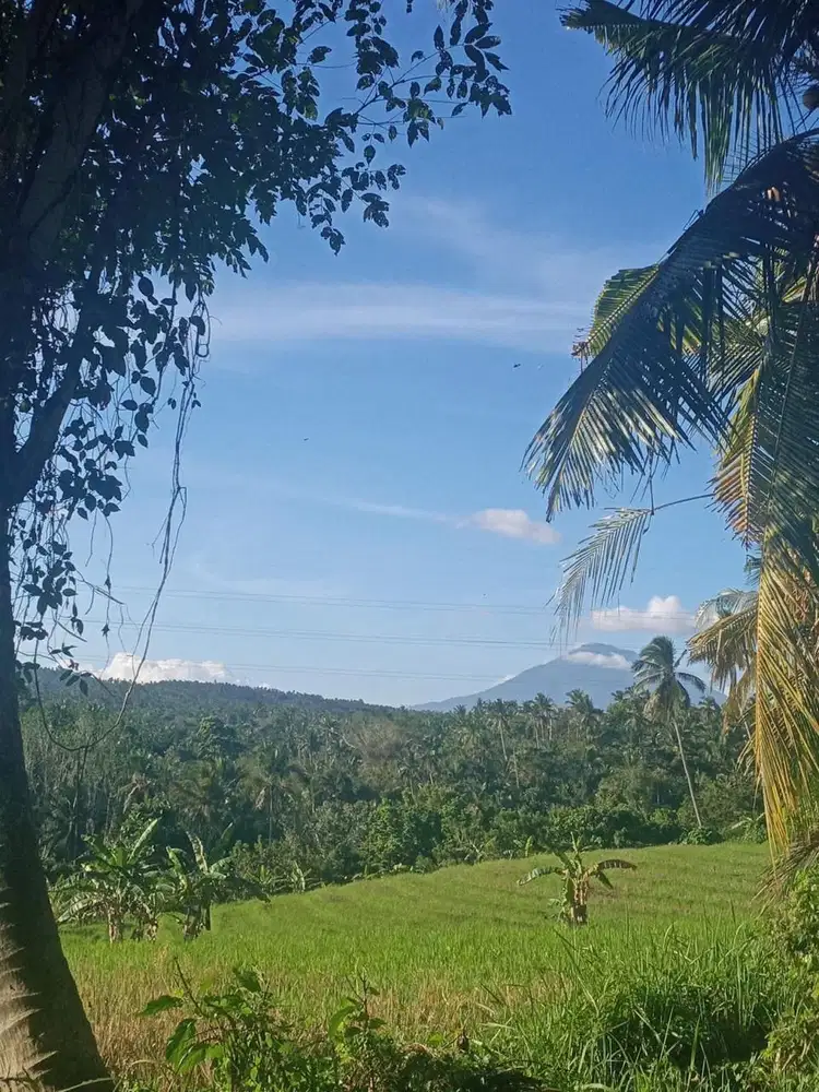 Dijual murah kavling view indah Denpasar Bali lokasi strategis