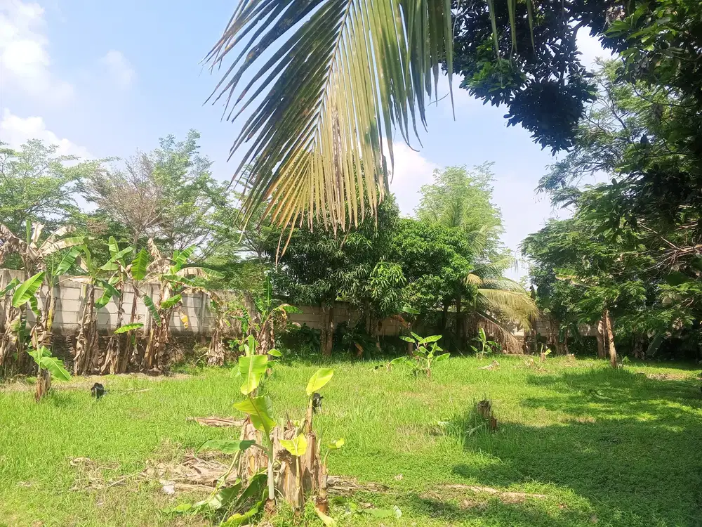 Jual tanah deket kampus cocok buat kontrakan atau hunian