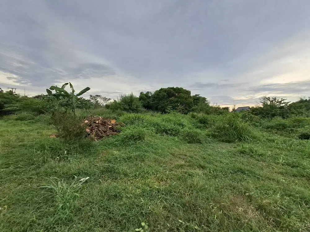 DIJUAL CEPAT TANAH DIBAWAH NJOP PINGGIR JALAN RAYA GUNUNG SINDUR