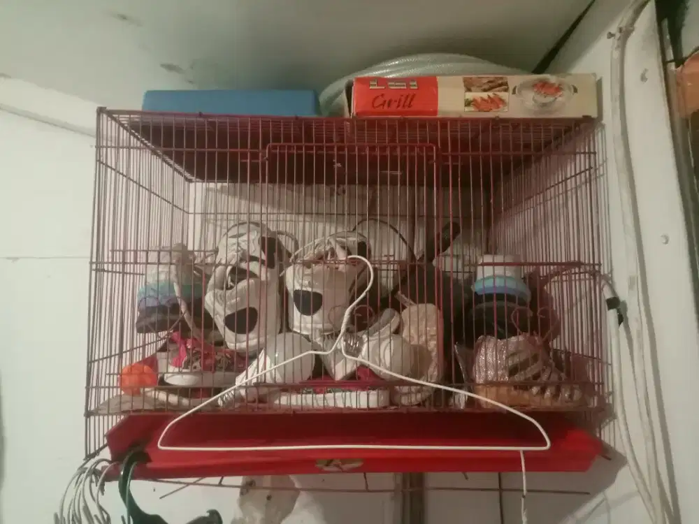 Kandang Besi Ukuran 60 x 40