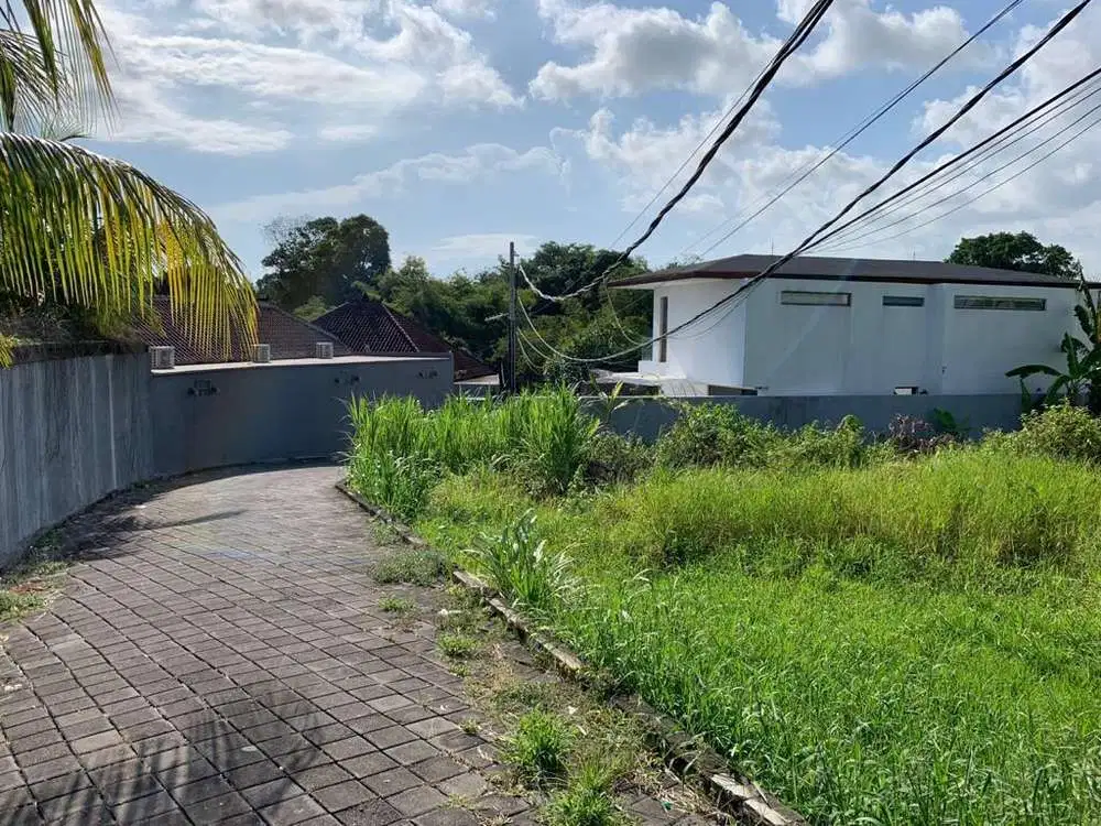 TANAH VIEW SAWAH DEKAT PANTAI DI CANGGU