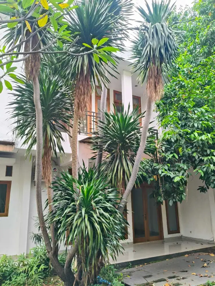 DIJUAL RUMAH MEWAH KAWASAN KEMANG DENGAN KOLAM RENANG