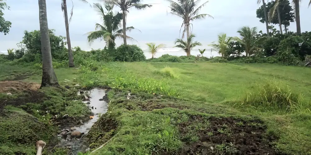 Kavling Bali - Hidden Gem  Langsung Pantai Selabih & Laut  , Tabanan