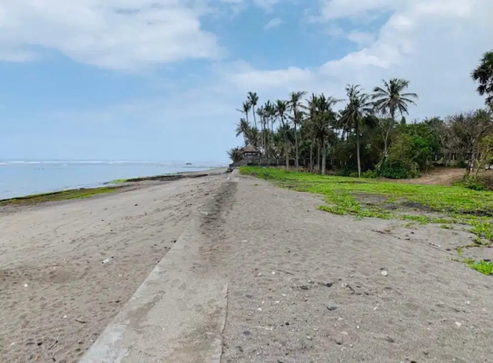 BEACHFRONT LAND WITH STRATEGIC LOCATION AT CANGGU CEMAGI