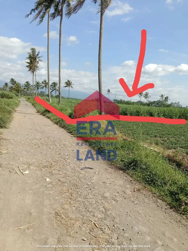 Dijual Tanah Murah di Desa Sumberkradenan Pakis Kab. Malang