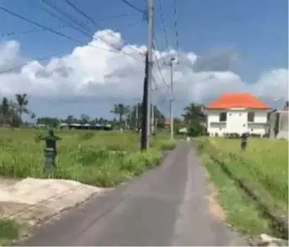 Dijual Tanah View Sawah Dekat ke Central Ubud