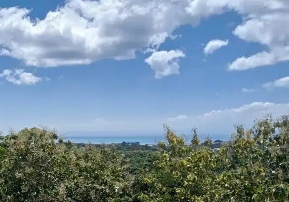 DIJUAL TANAH PEMANDANGAN LAUT PECATU