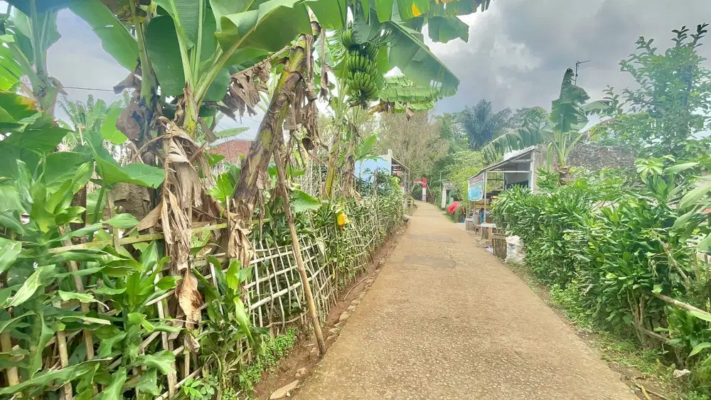 Dijual Murah Tanah Datar ditengah Perkampungan Bojong Purwakarta