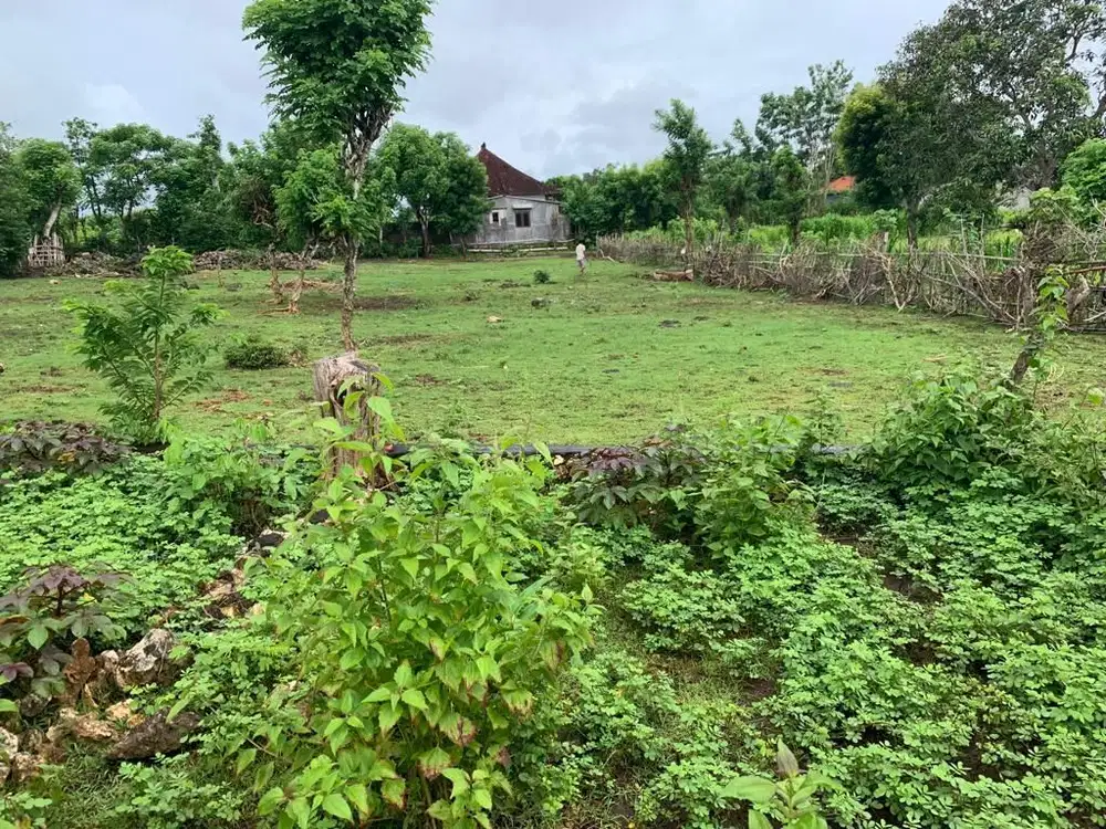 Dijual Tanah Dekat Pantai Balangan