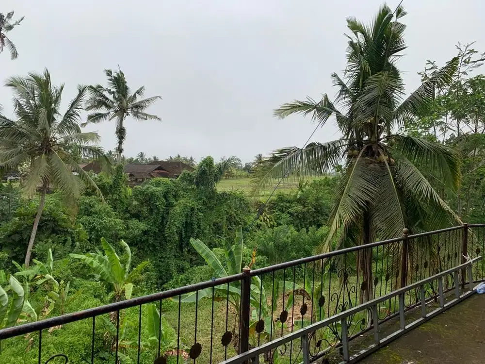 TANAH VIEW SAWAH DAN SUNGAI JALAN UTAMA UBUD