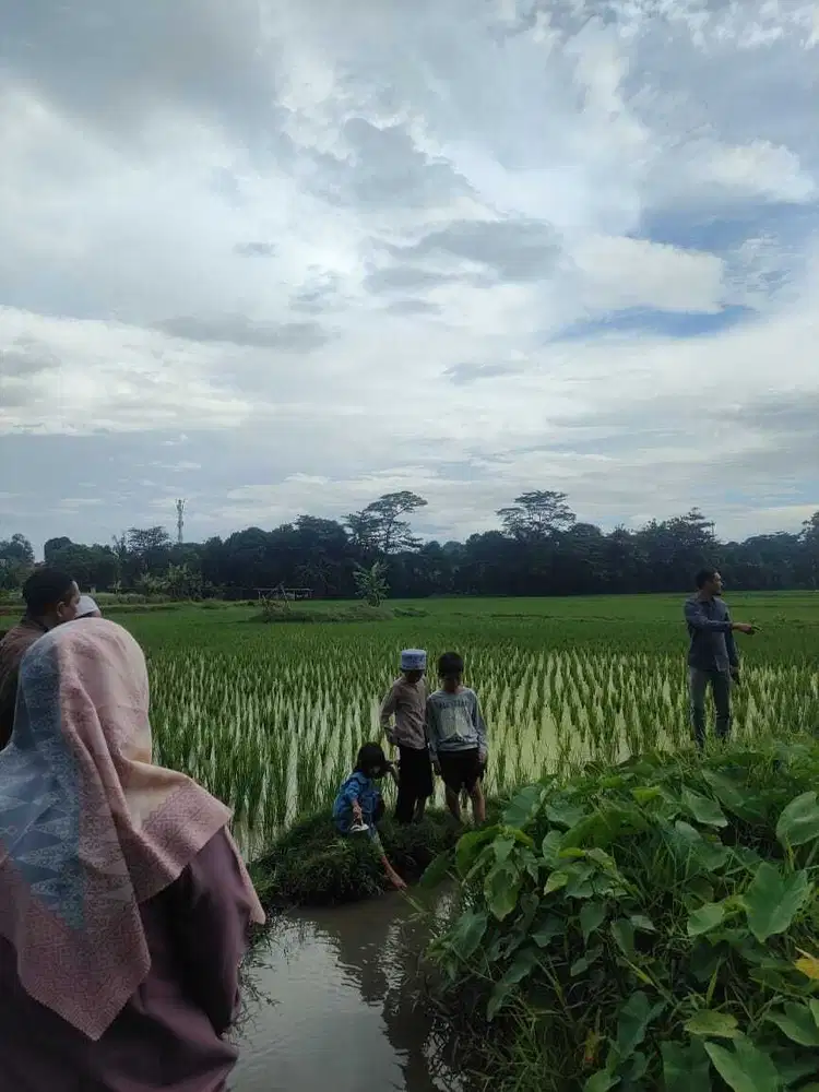 DIJUAL LAHAN LUAS DI KAWASAN KABUPATEN BEKASI