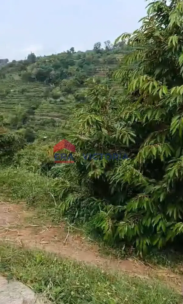 DIJUAL Tanah di Semen Kab Kediri Terdapat 2 Tanah Berhadapan