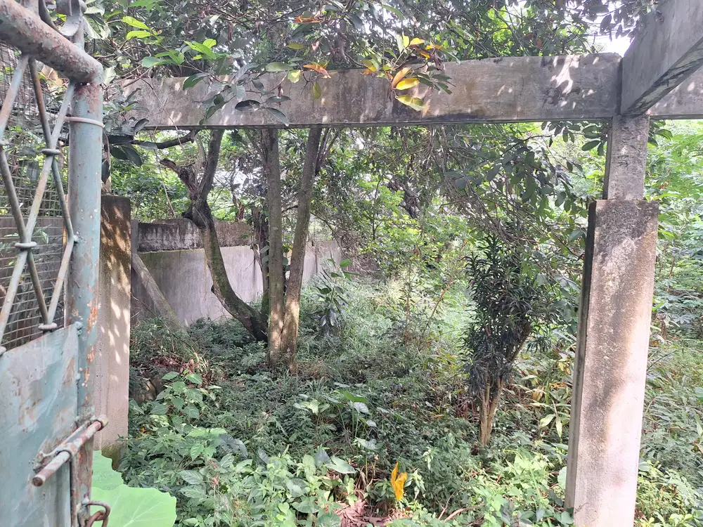 Di Jual Rumah Jl. Permata Pamulang Raya