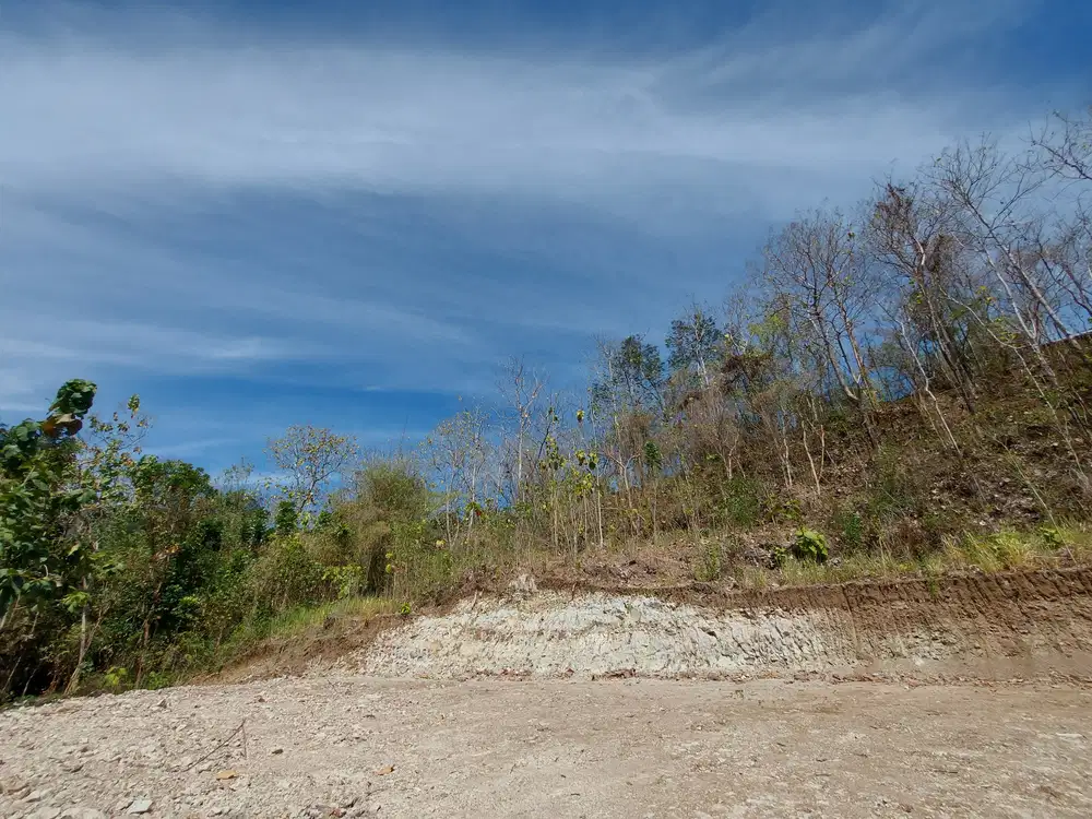 Tanah Bantul Dekat Pasar Pleret