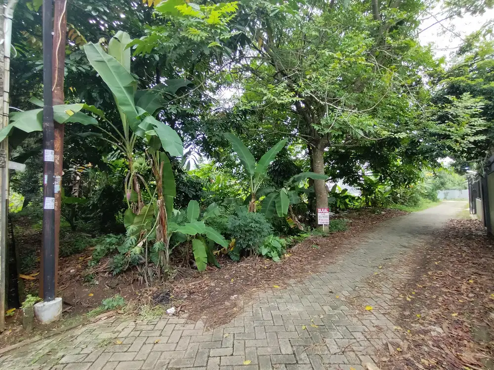 Dijual Cepat Tanah Ciater, Serpong Tangerang Selatan