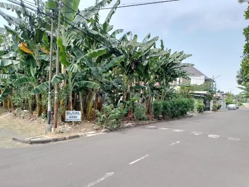 kav hook, 18x20, di Citra garden 1