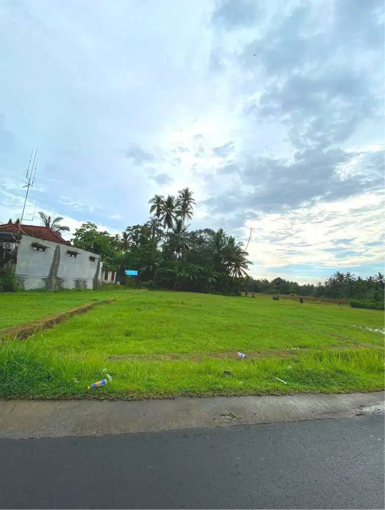 DIJUAL TANAH SAWAH LOS SUNGAI TABANAN