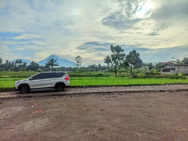 2,2 jt/m Tanah Di Jalan Palagan View Sawah Dan Merapi Langka
